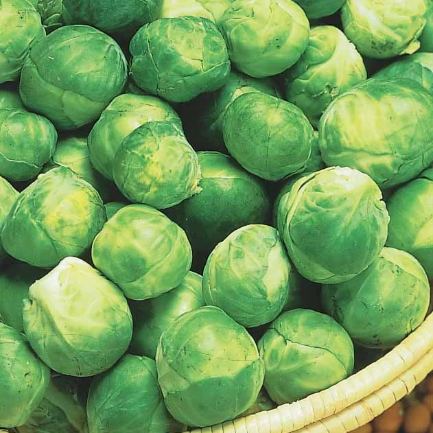 Image du produit 5