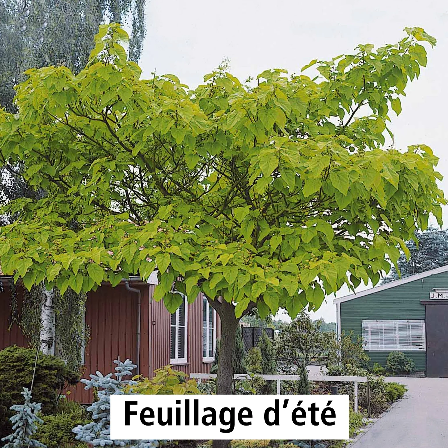 Image du produit 9